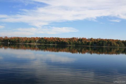 Photo of TBD University Road, Iron River, MI 49935 (MLS # 50210907)