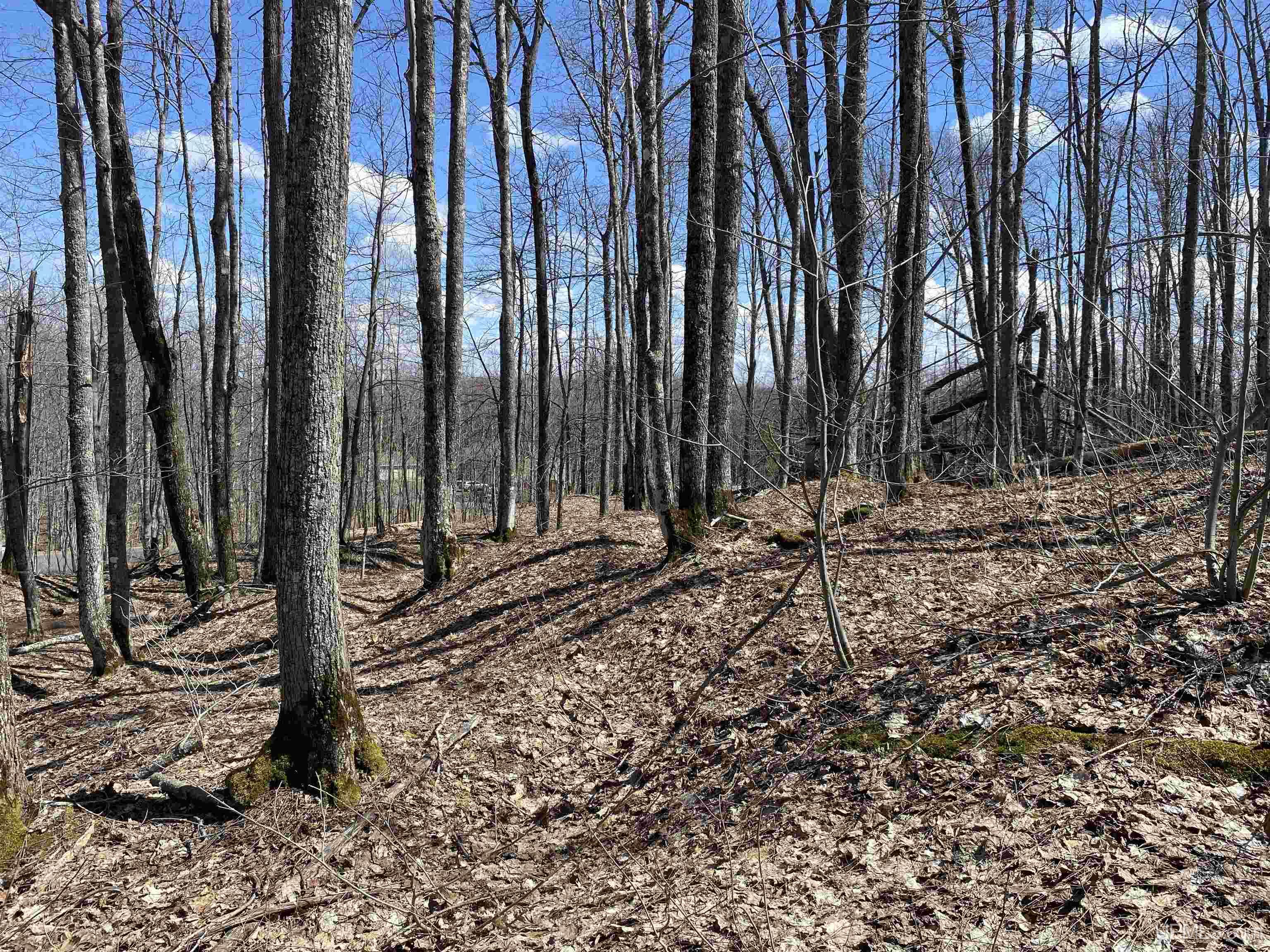 TBD Lot 29 S Whealkate Drive