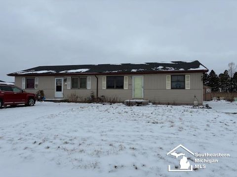 8785-8793 Sams Drive Maybee MI 48159