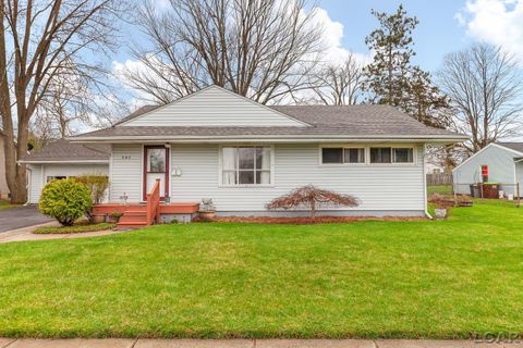 Photo of 507 Adrian Street, Tecumseh, MI 49286 (MLS # 50204717)