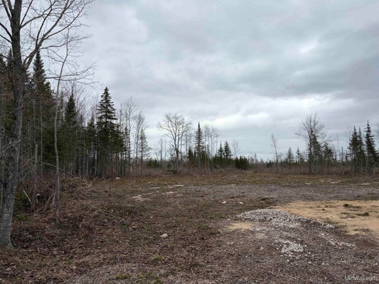REID RD, GULLIVER, MI 49840 - Image 5aa5a5fc04f2e7556d1edcff4f0a78a0/1715795452