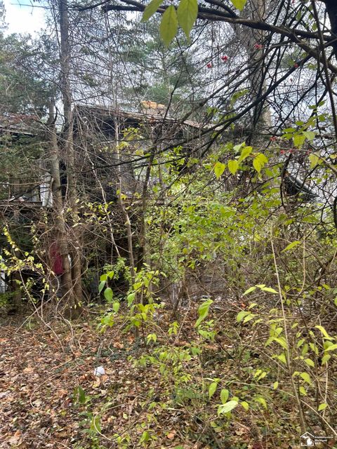 6240 Whiteford Center Road Lambertville MI 48144