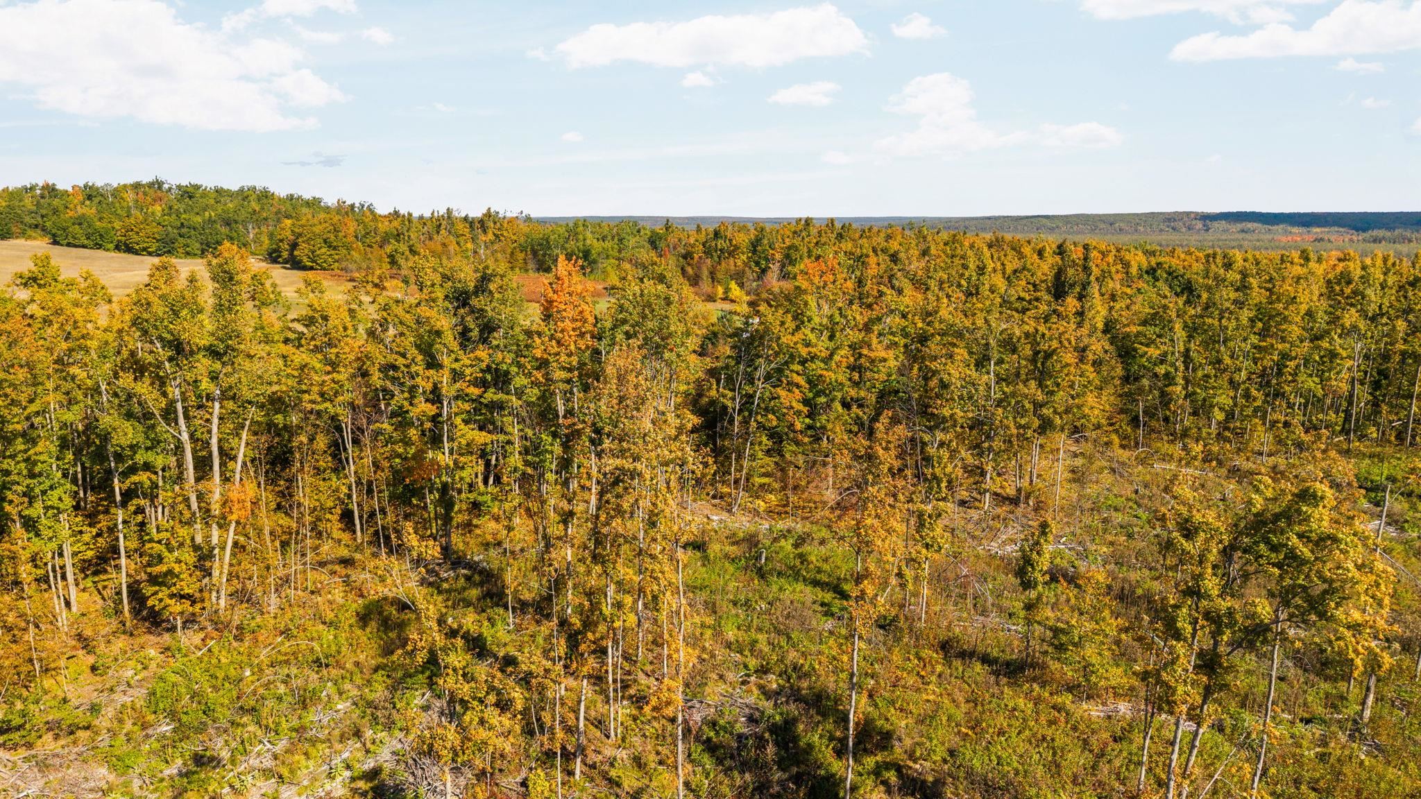 00 Birch Run Trail