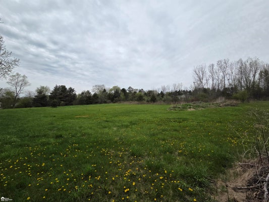11144 N LEWIS RD, CLIO, MI 48420 - Image 5ea923ce98528407aa4e43164ef06dfc/2733915145
