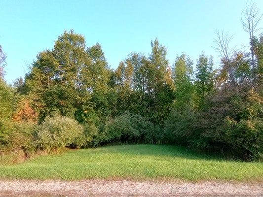 LOTS 60-61 HUNTINGTON CIRCLE, GLADWIN, MI 48624 - Image 5eaa3762090853bbec1bfdea8472cdc1/2395220892
