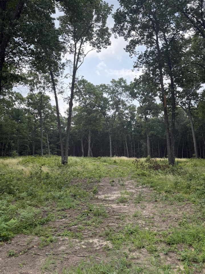 1099 Chicago Drive Lot 20