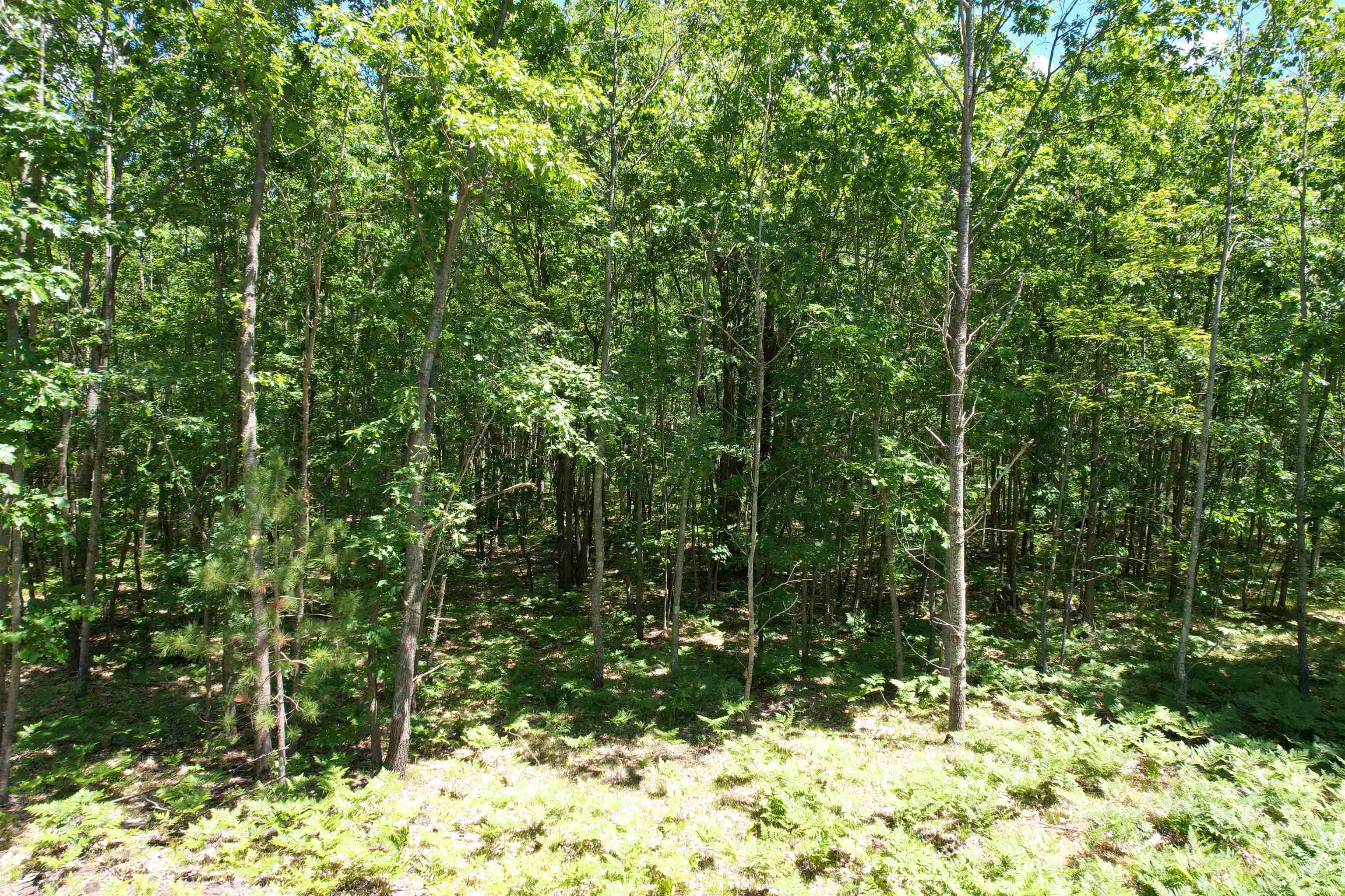 2966 W Houghton Lake Road