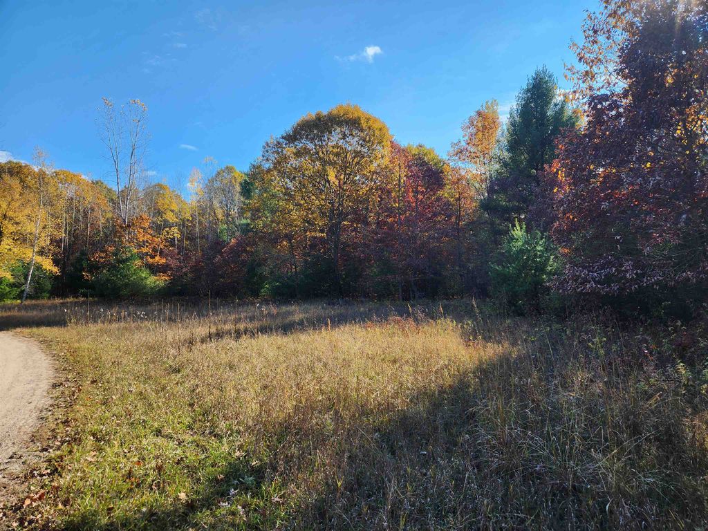 Photo of 92 E River Road, Mount Pleasant, MI 48858 (MLS # 50192953)