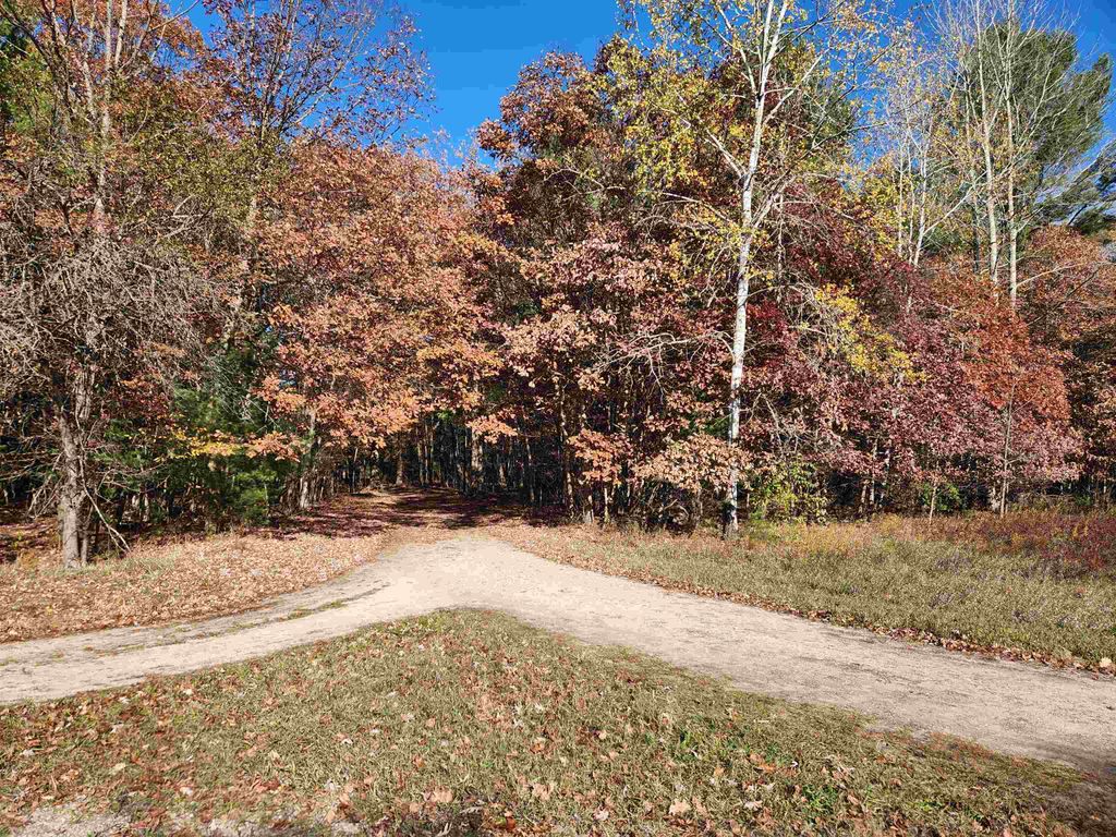 Photo of 92 E River Road, Mount Pleasant, MI 48858 (MLS # 50192953)