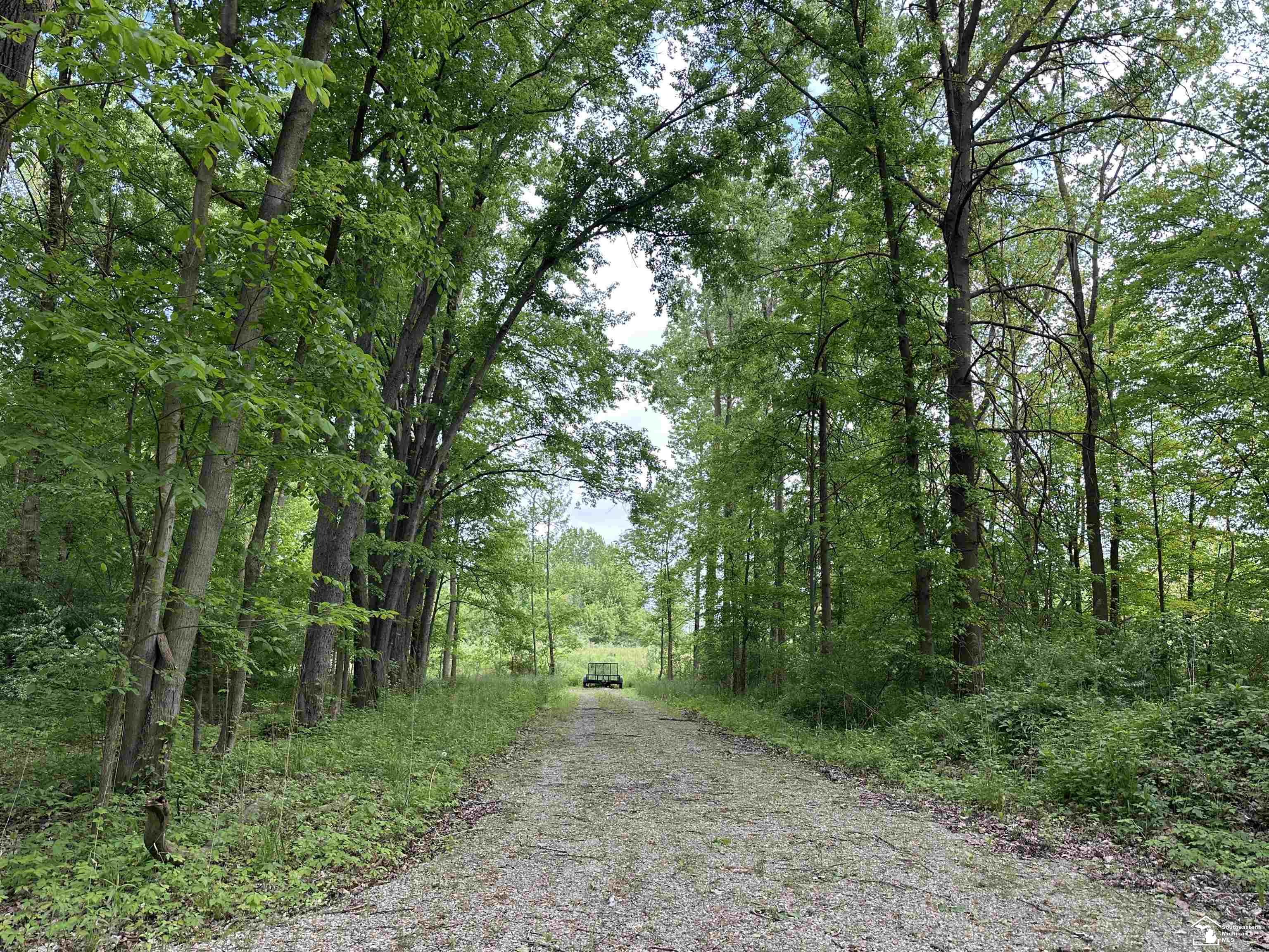 3886 Douglas Road