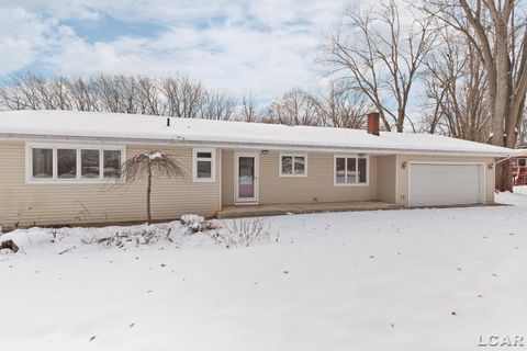 Photo of 9249 TONNEBERGER Drive, Tecumseh, MI 49286 (MLS # 50196024)