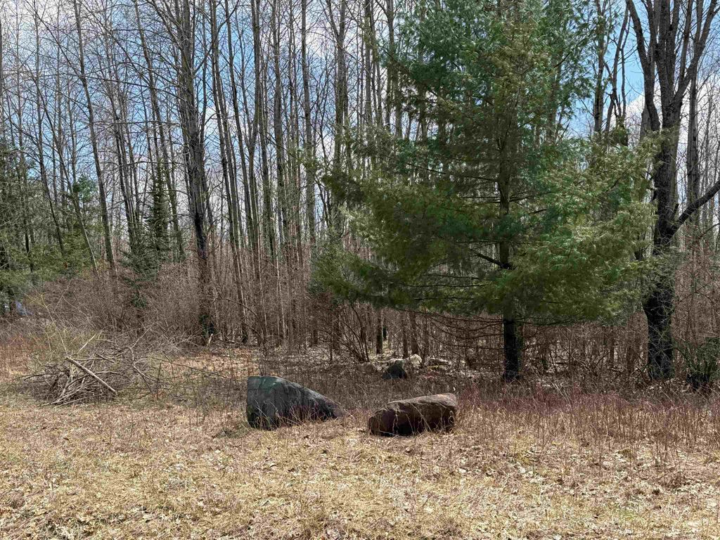 Photo of 60 Sandbridge Court, Gladwin, MI 48624 (MLS # 50204257)