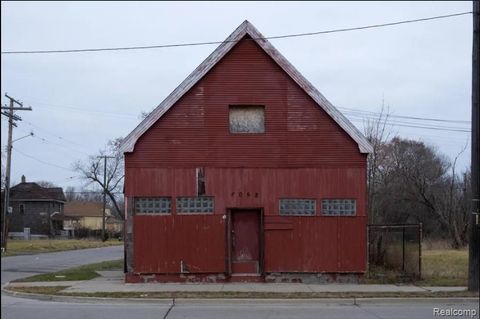 Photo of 6058 Van Dyke Street, Detroit, MI 48213 (MLS # 70523276)