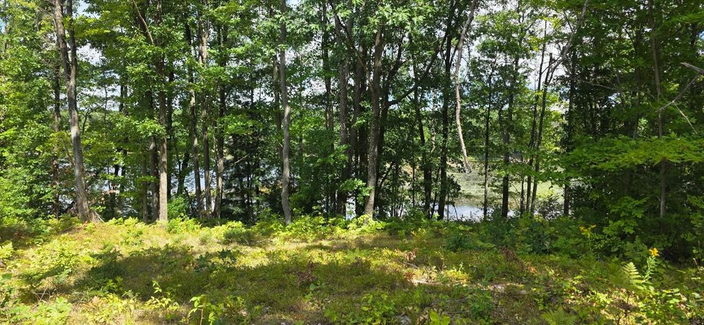 Photo of 300 Jaunita Indian Lane, Harrison, MI 48625 (MLS # 50186915)