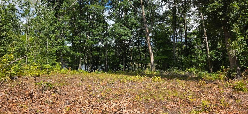 Photo of 300 Jaunita Indian Lane, Harrison, MI 48625 (MLS # 50186915)