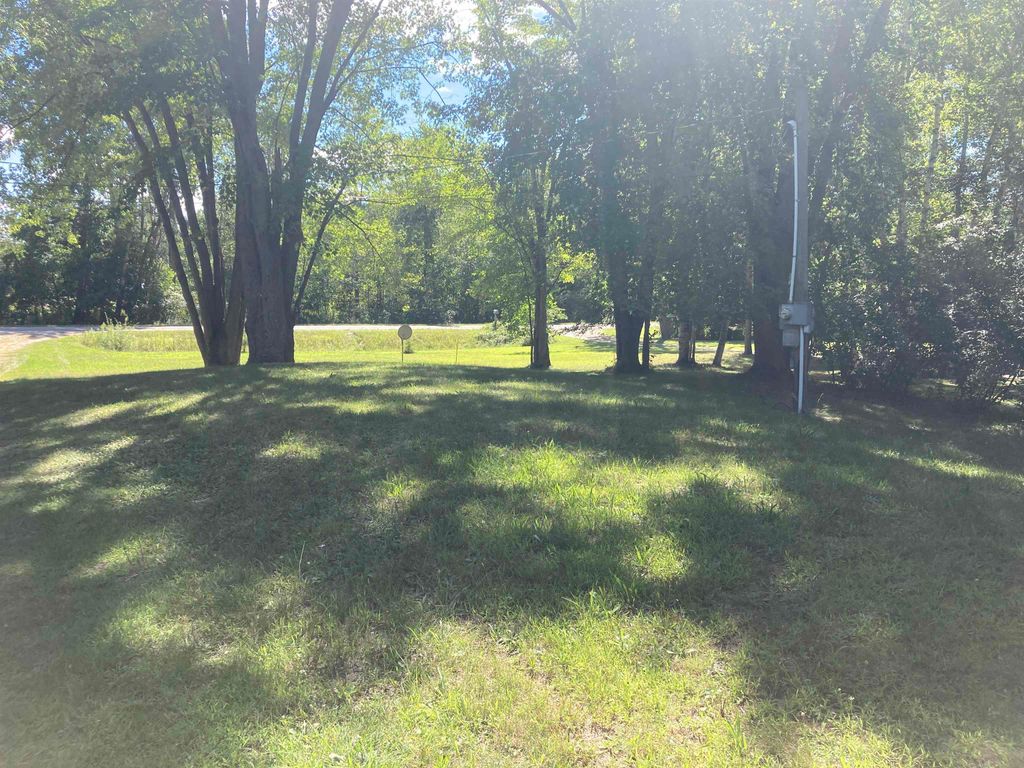Photo of 447 E Sun Oil Road, Gladwin, MI 48624 (MLS # 50185895)