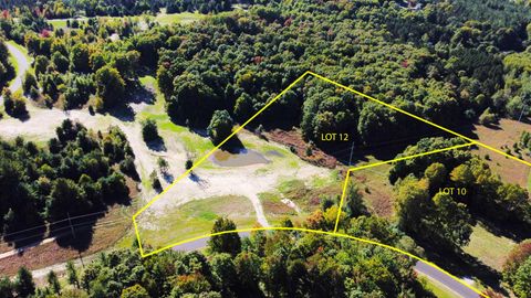 5238 Paradise Ranch Lot 10 Kingsley MI 49649