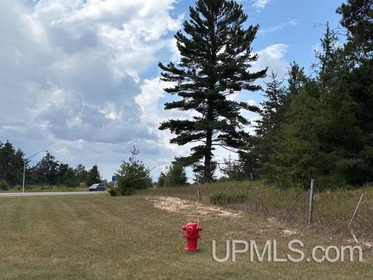 MANISTIQUE AVE, MANISTIQUE, MI 49854 - Image 660c12c2e00d52dfdf96dc66d117bb90/2523933474