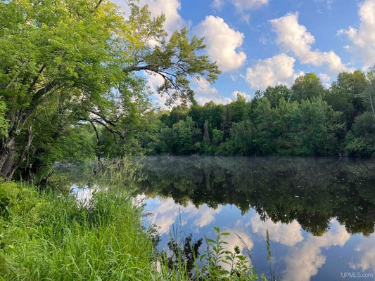 ADDRESS PRIVATE, IRONWOOD, MI 49938 - Image 680fa55d4eb00a8cb77d872a86037252/1116854775
