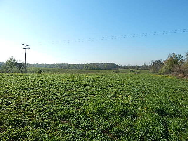 8833 W Territorial Road