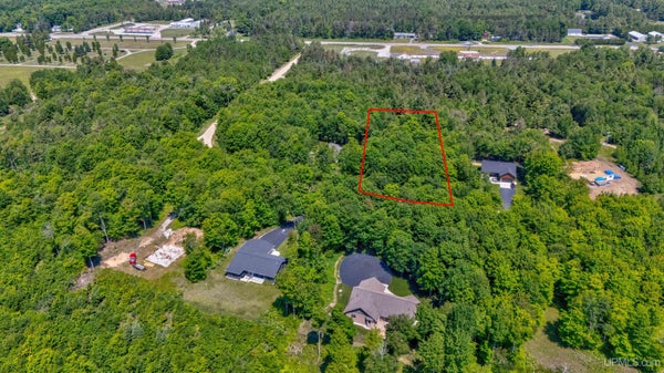 TBD DILLEXIE LANE, MANISTIQUE, MI 49854 - Image 692f3d63892fbe34cf664f05abdd64a1/1047682194
