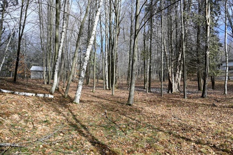 Photo of 9828 Pontiac Trail, Evart, MI 49631 (MLS # 70519416)