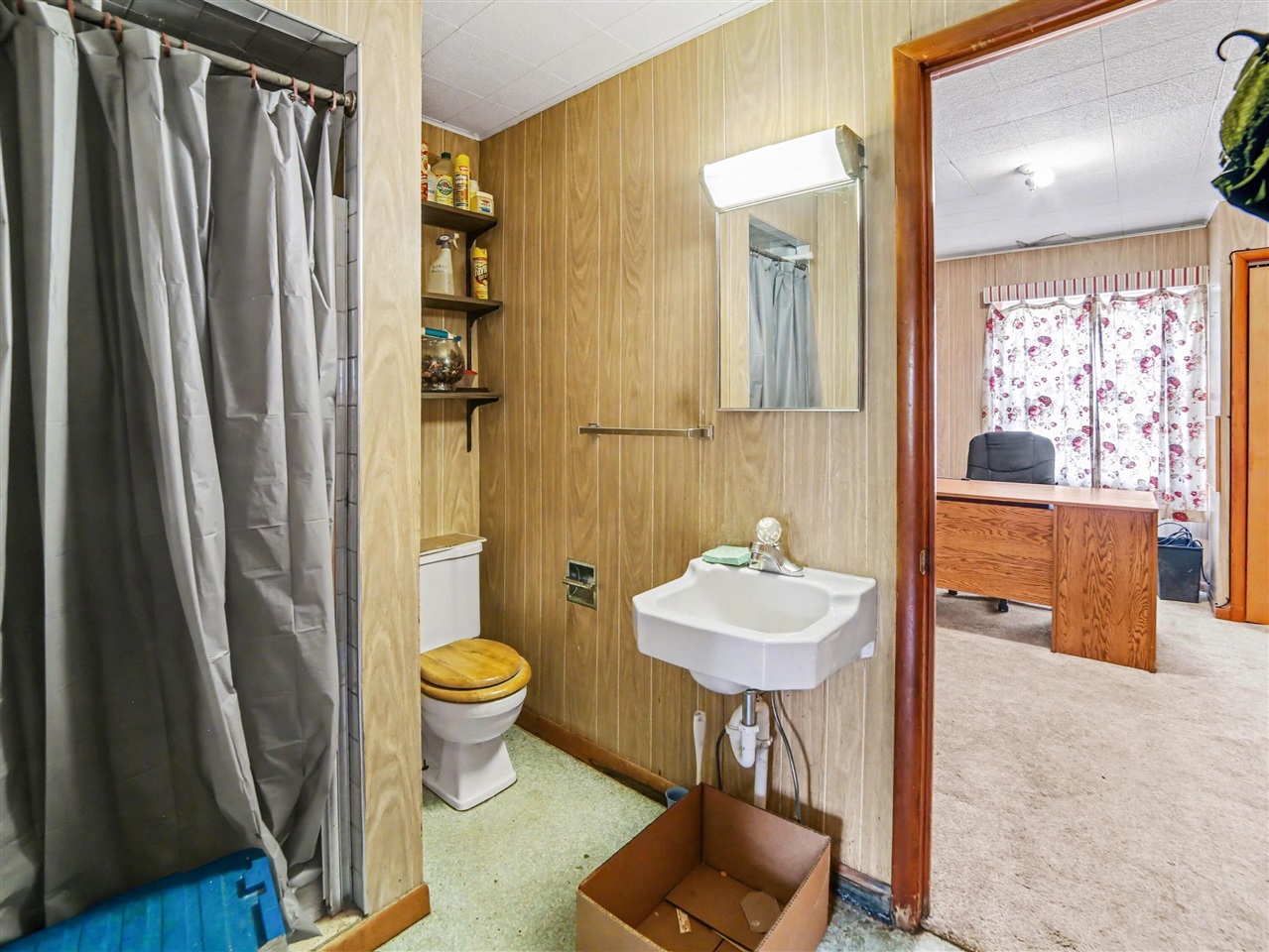 Photo 11