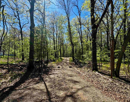 4950 SQUIRREL RUN, FARWELL, MI 48622 - Image 6c5caf27c8a175a9c8f332155c914f44/2297704497