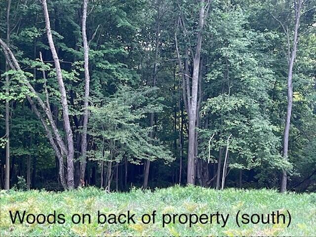 8975 Edgewater Drive