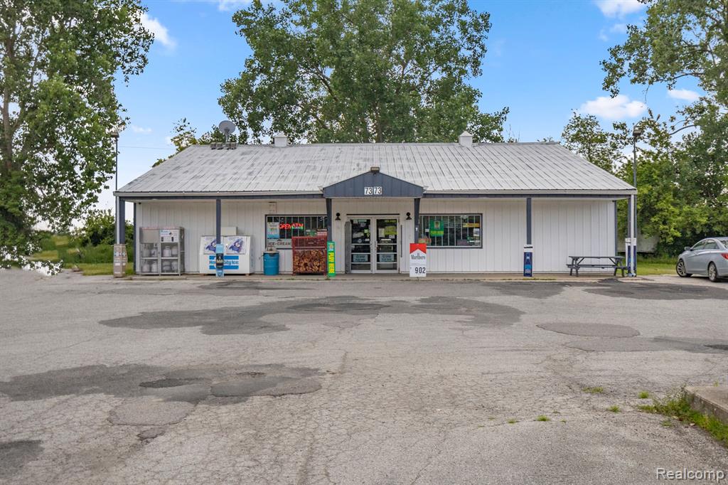 7373 Bluebush