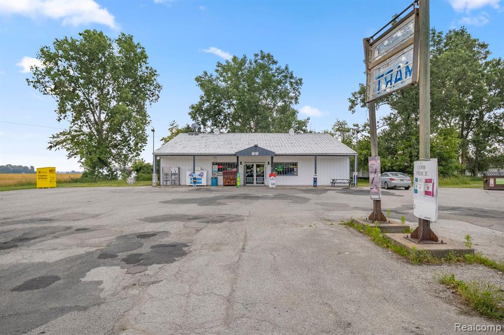 7373 Bluebush