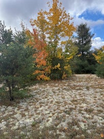 2805 Tagalder Trail Gaylord MI 49735