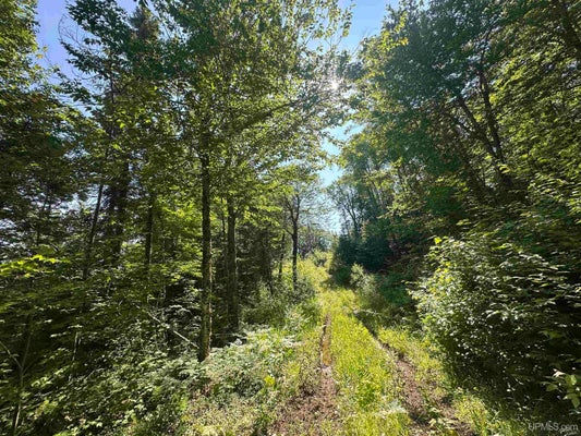 INDIAN LAKE RD, MICHIGAMME, MI 49861 - Image 70c6a98dc6865635c8b2ecf2aa67bfa8/2086409772