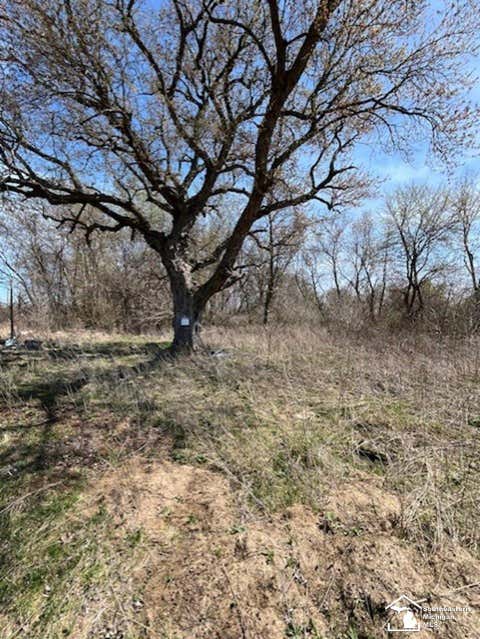 Photo for 3907 Grodi Road
