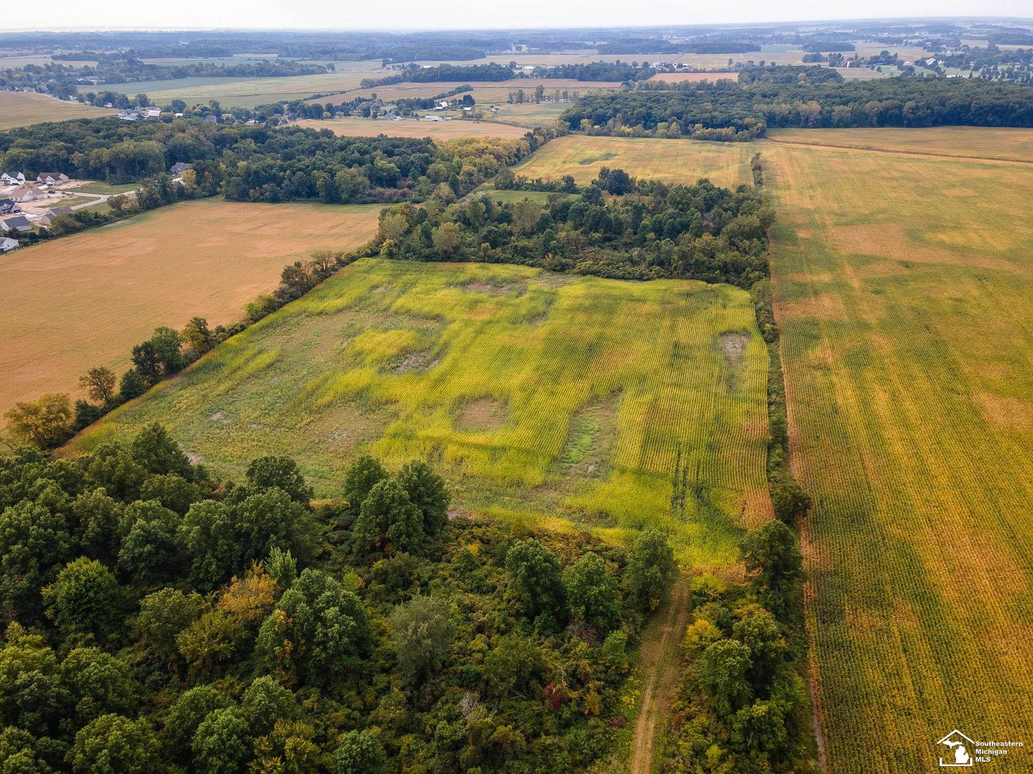 Monroe, Michigan 48161, United States, ,Land,Active,210287