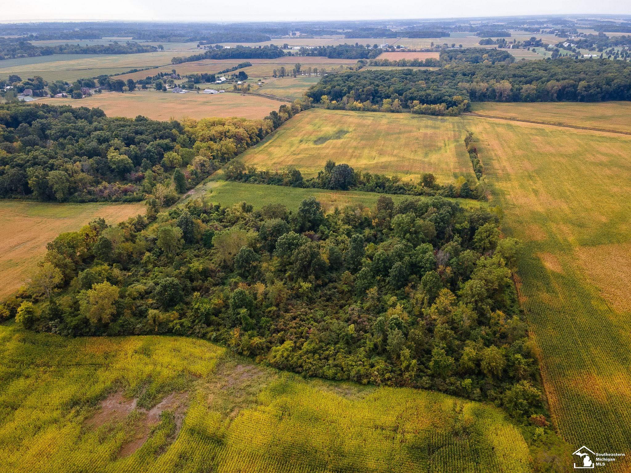 Monroe, Michigan 48161, United States, ,Land,Active,210287