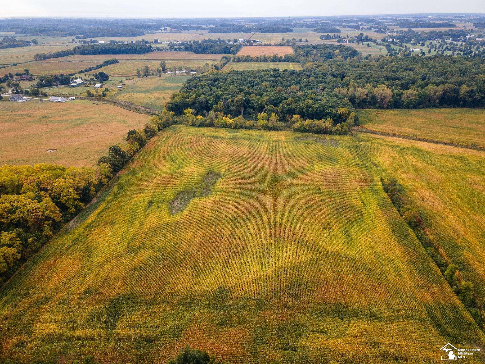 Monroe, Michigan 48161, United States, ,Land,Active,210287