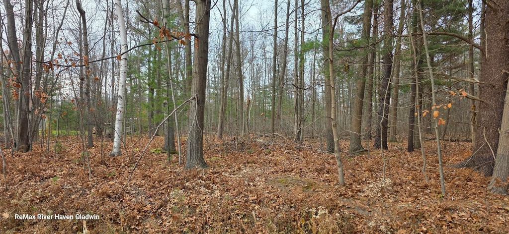 Photo of 217 N Branch Drive #Woodview Pass VL, Beaverton, MI 48612 (MLS # 50194762)