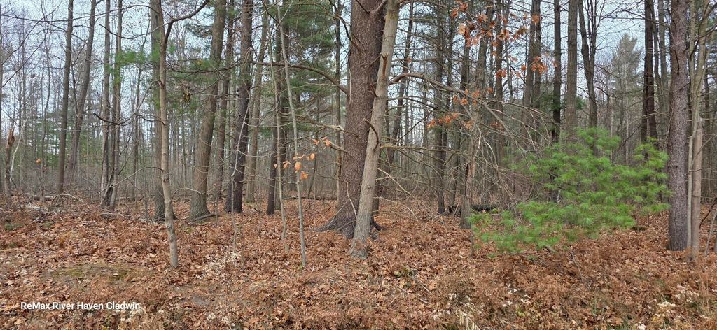 Photo of 217 N Branch Drive #Woodview Pass VL, Beaverton, MI 48612 (MLS # 50194762)