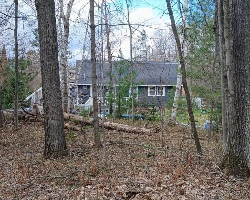 Photo of 1350 Springwood Drive, Prudenville, MI 48651 (MLS # 50206142)