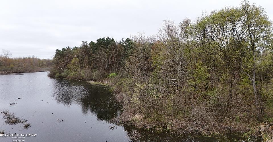 Imlay City, Michigan 48444, United States, ,Land,Pending,198674