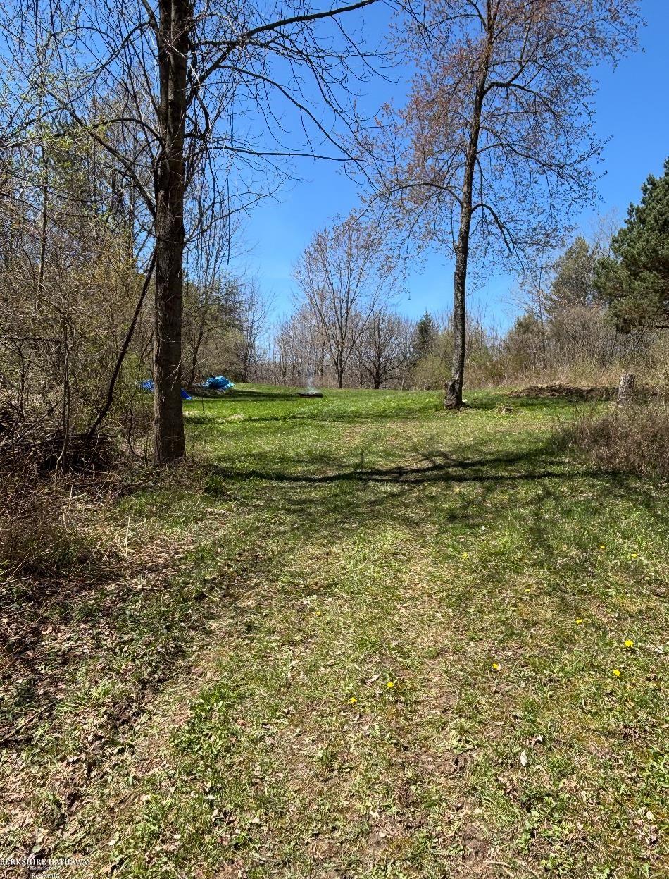 Imlay City, Michigan 48444, United States, ,Land,Pending,198674