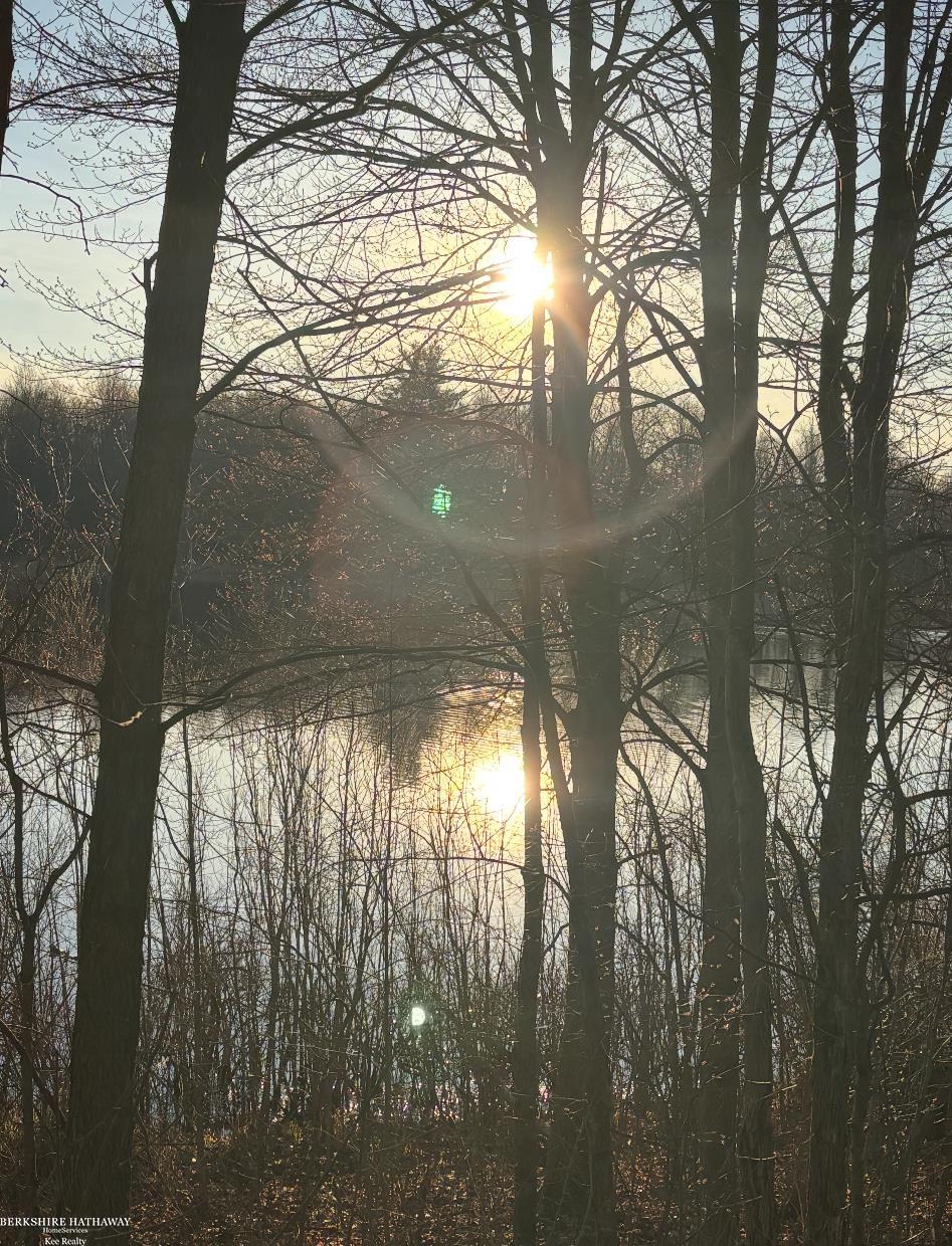 Imlay City, Michigan 48444, United States, ,Land,Pending,198674