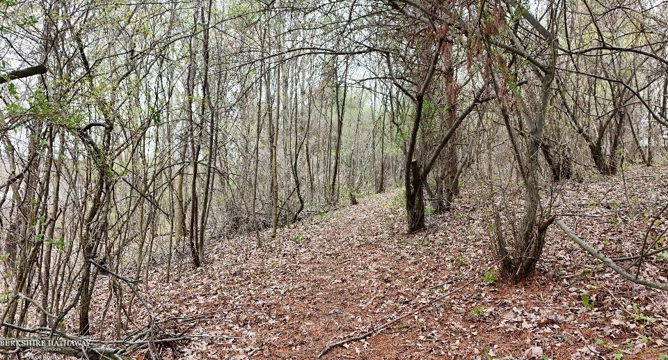 Imlay City, Michigan 48444, United States, ,Land,Pending,198674