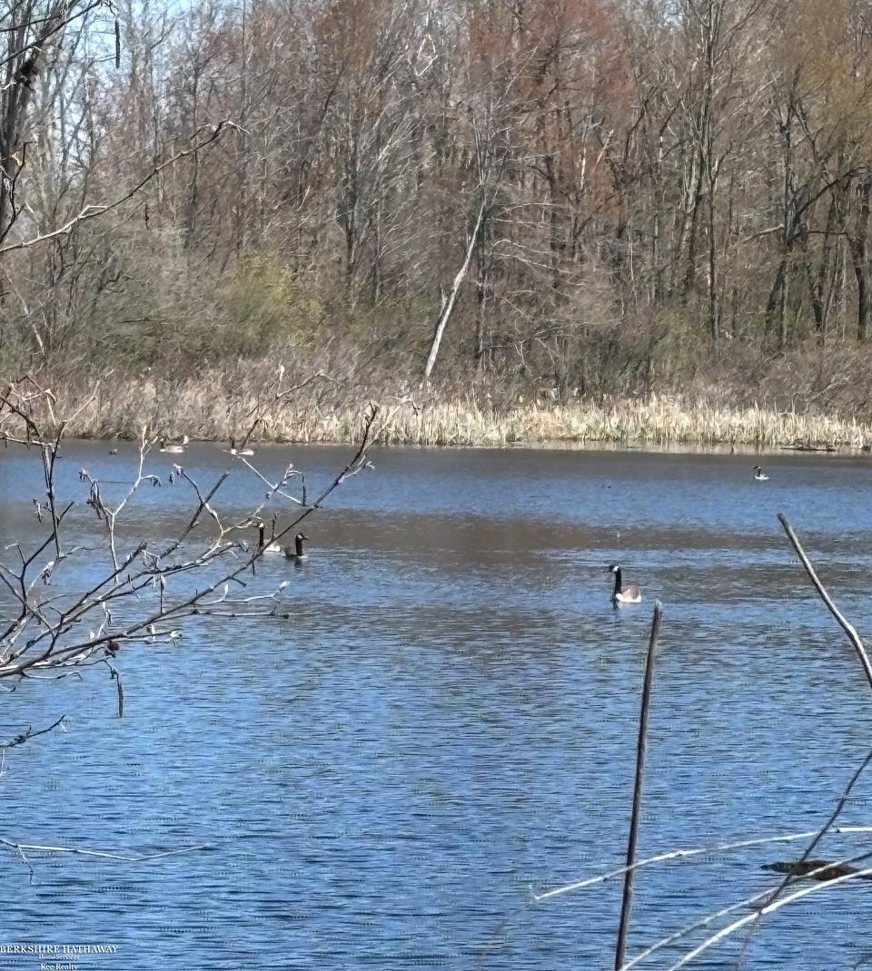 Imlay City, Michigan 48444, United States, ,Land,Pending,198674