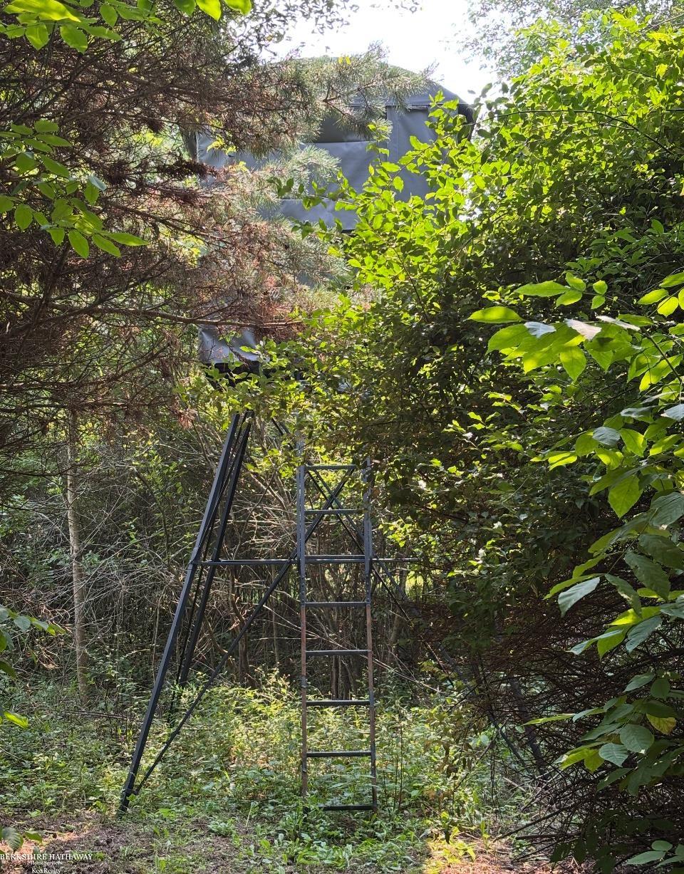 Imlay City, Michigan 48444, United States, ,Land,Pending,198674