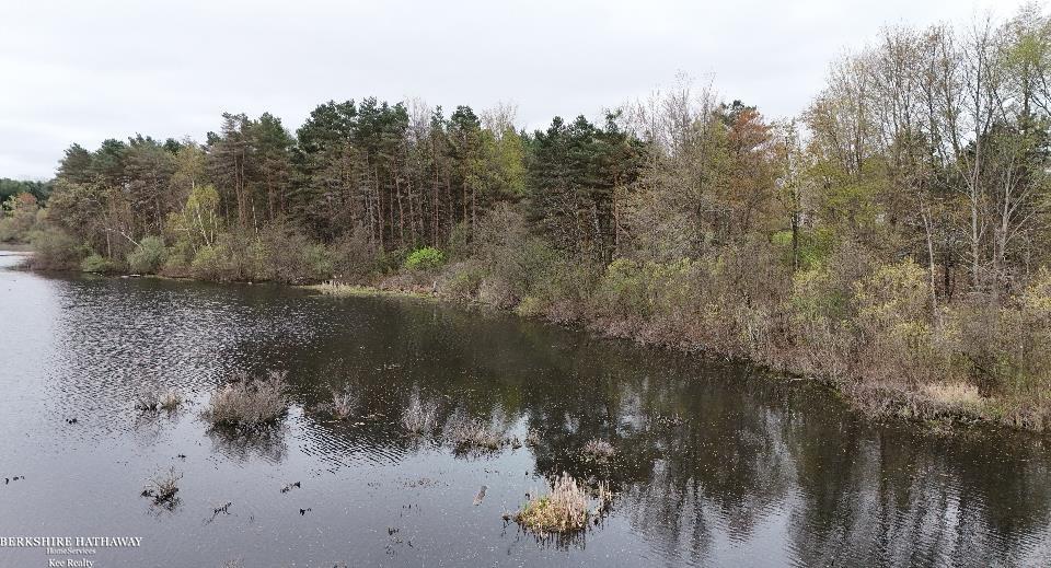 Imlay City, Michigan 48444, United States, ,Land,Pending,198674