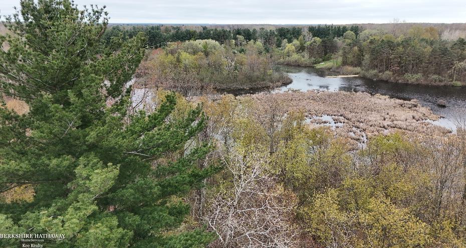 Imlay City, Michigan 48444, United States, ,Land,Pending,198674