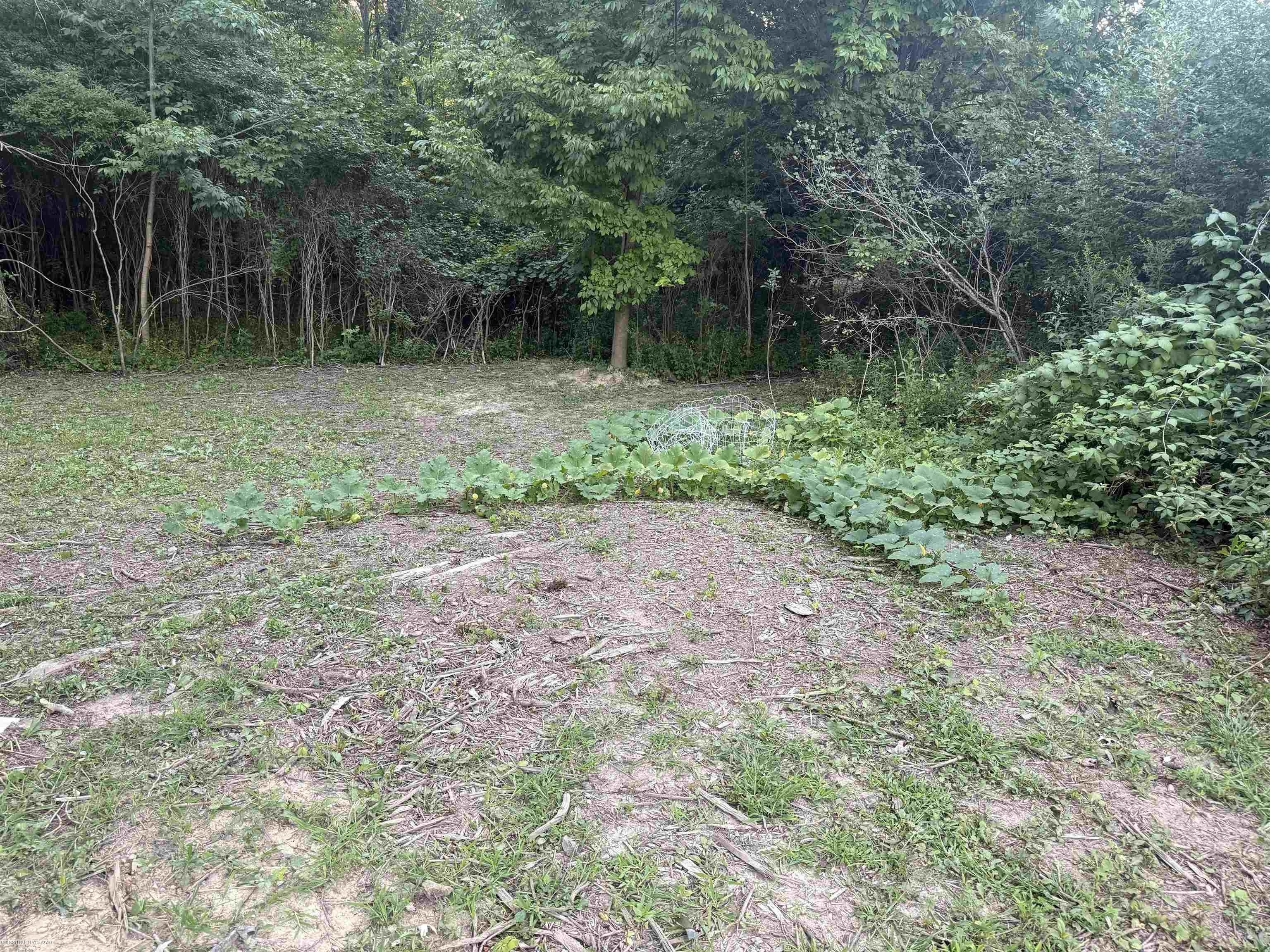 Imlay City, Michigan 48444, United States, ,Land,Pending,198674