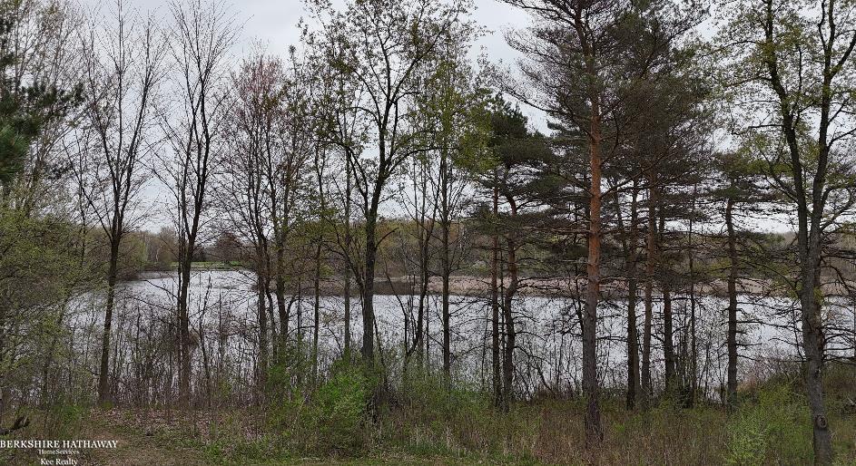 Imlay City, Michigan 48444, United States, ,Land,Pending,198674